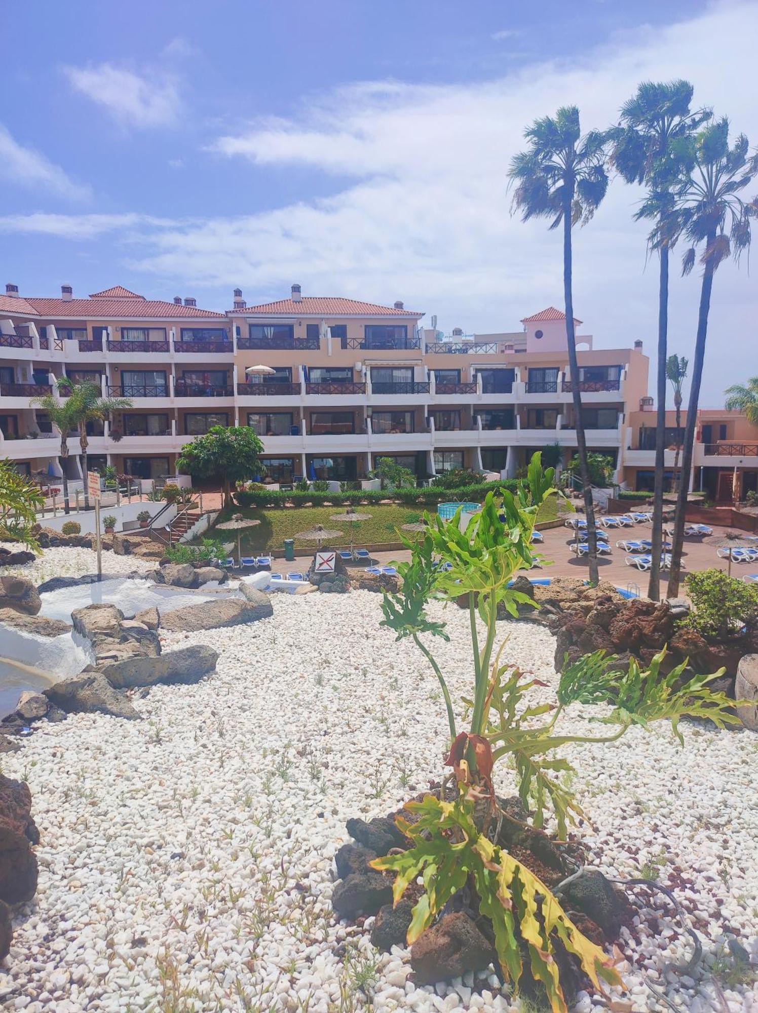 Lovely Apartment Top Views, Heated Pool, Great Location San Miguel de Abona Exterior foto